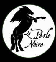 Logo LA PERLE NOIRE